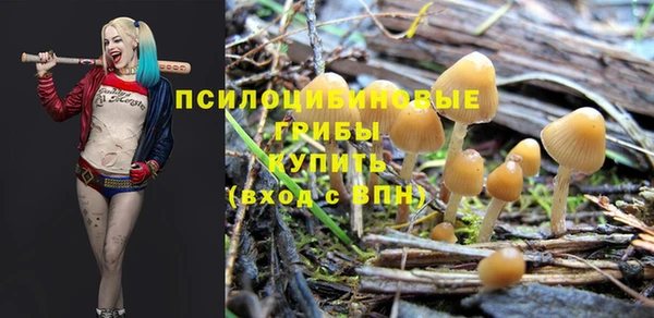 тгк Горно-Алтайск