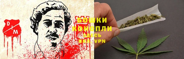 тгк Горно-Алтайск